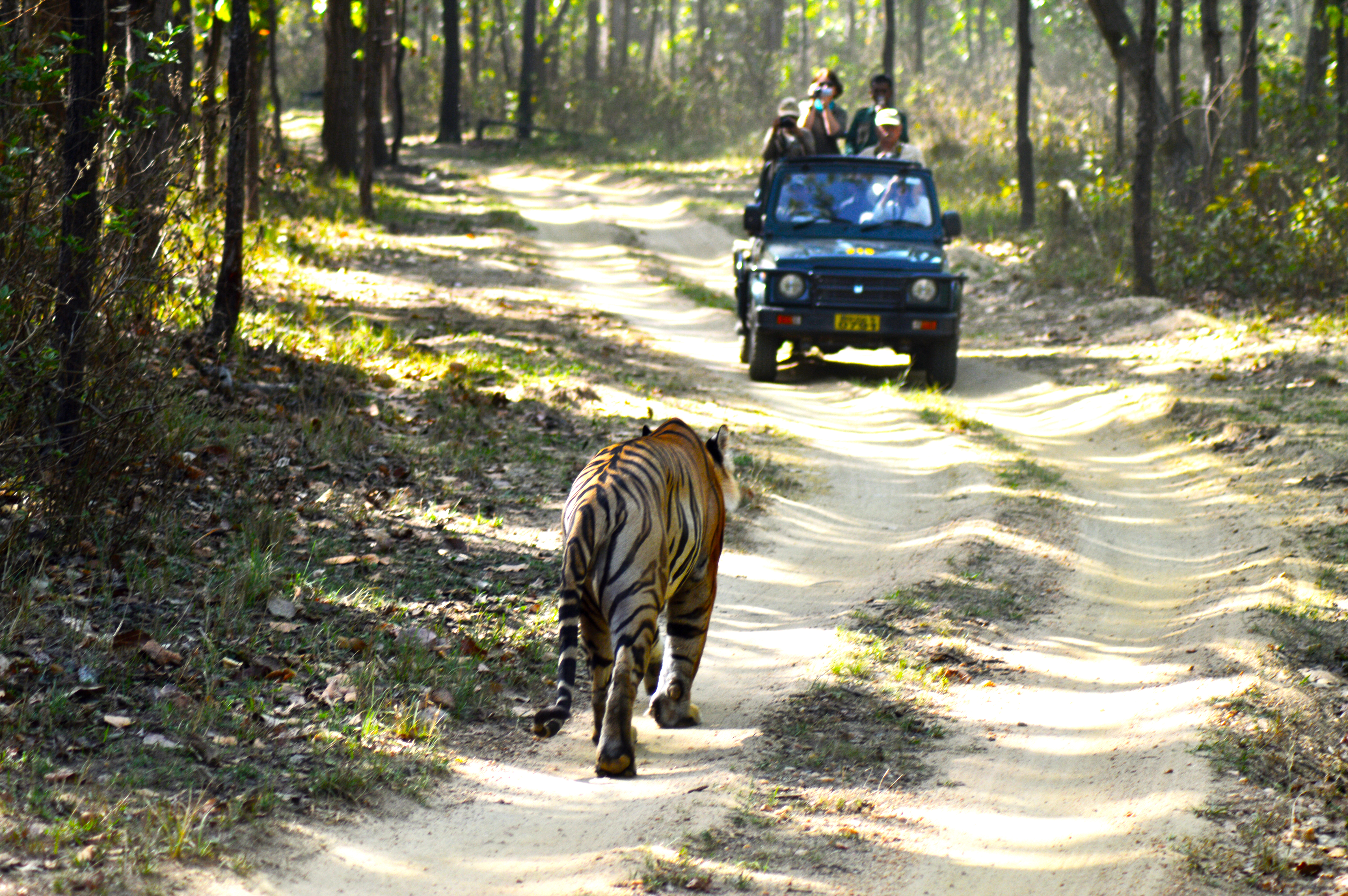 Kanha National Park